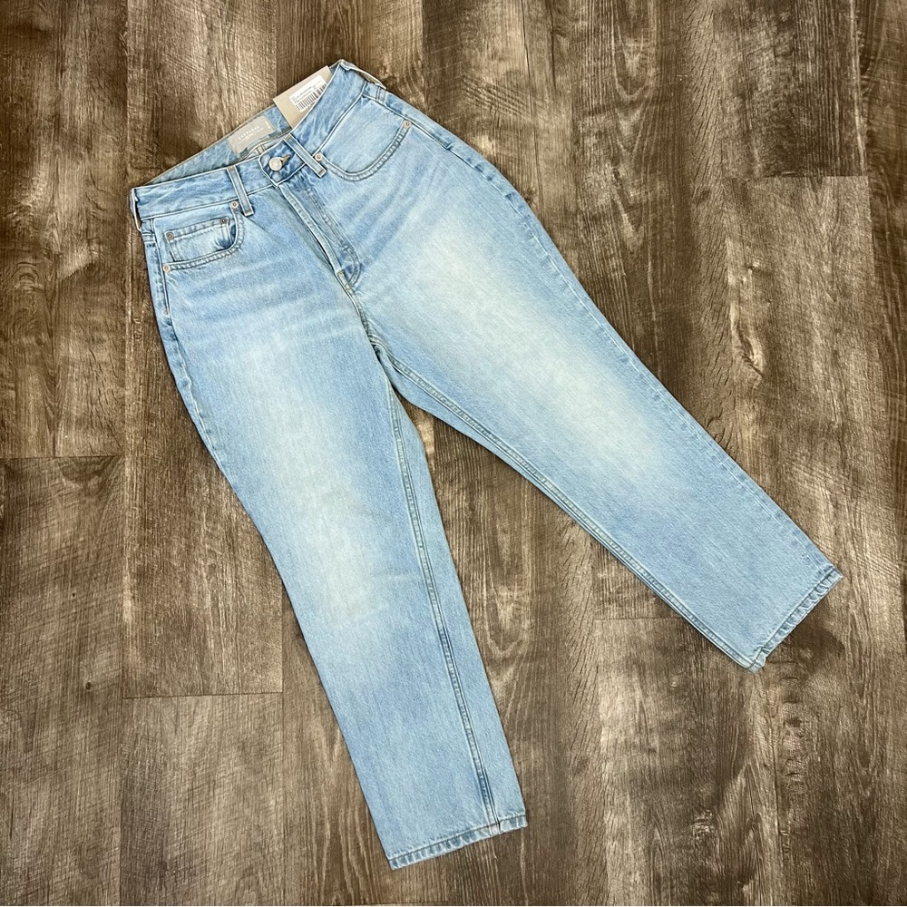 Everlane Vintage Sunbleached Blue The Curvy ‘90s Cheeky Straight Jean